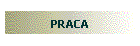 PRACA